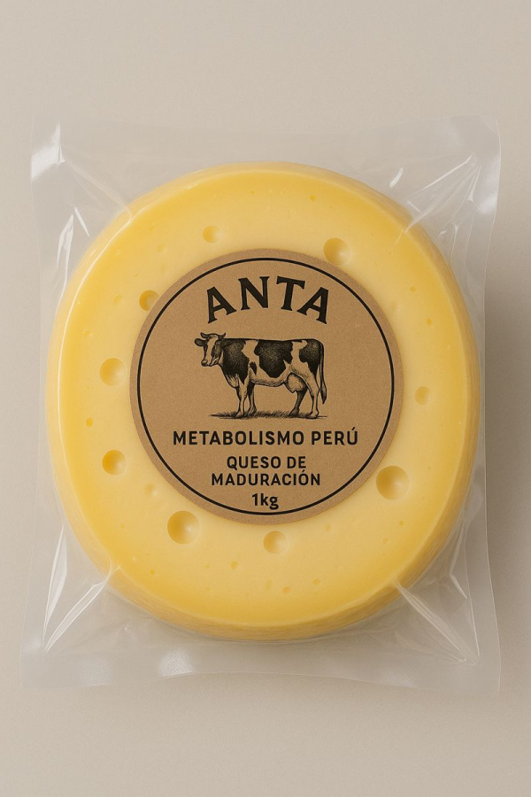 QUESO DE ANTA